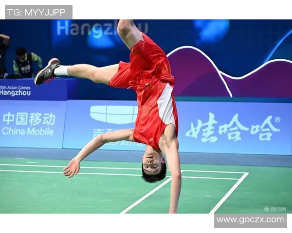 赛后分析：杭州羽毛球队与北京羽毛球队的战术意识与表现对比