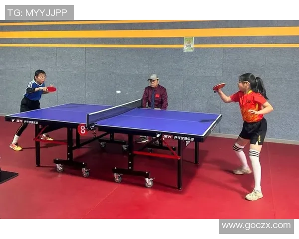 赵芳独家分享乒乓球技巧与心得助你提升球技的秘诀与经验总结