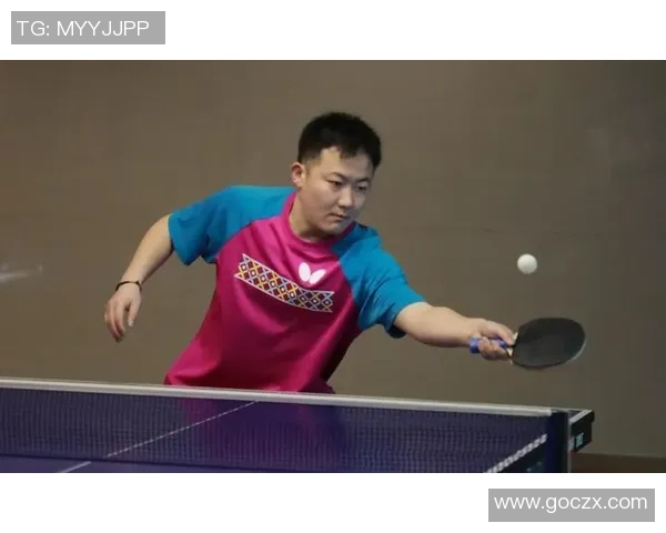 赵磊乒乓球生涯回顾与展望对话分享精彩瞬间与成长历程