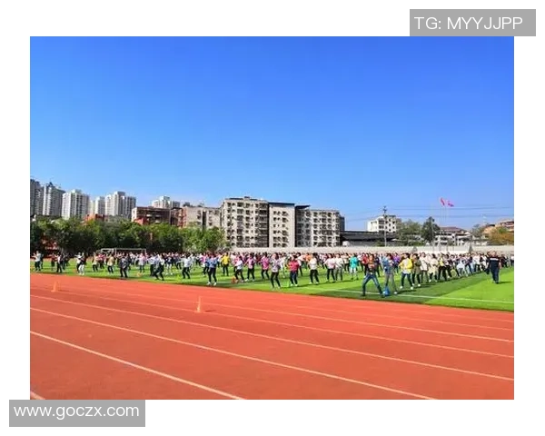 重庆排球队挑战赛表现分析与状态评估全景解读