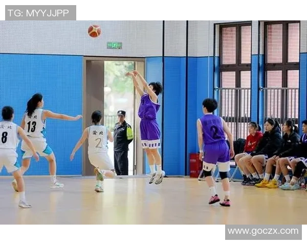 重庆篮球队的团队协作揭秘：团结拼搏成就篮球梦想