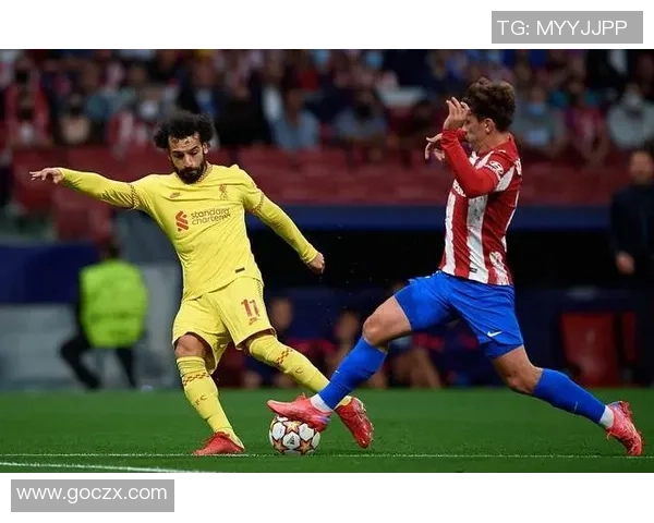 重庆乒乓球队战术变革引发热议助力竞技水平提升与未来发展