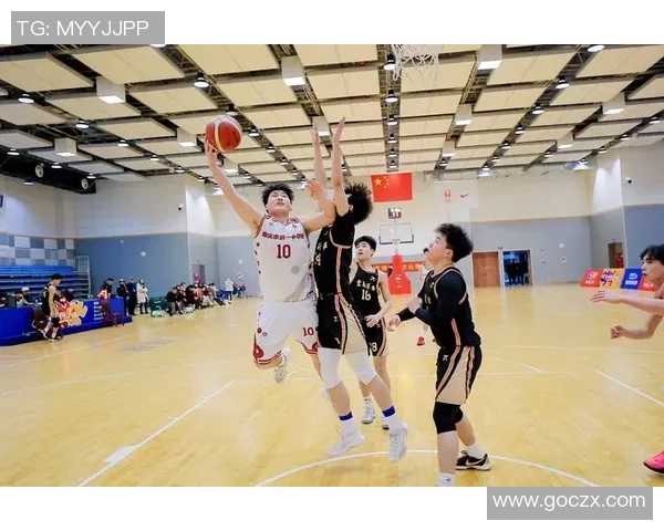 重庆篮球队运营策略深度分析与发展前景展望