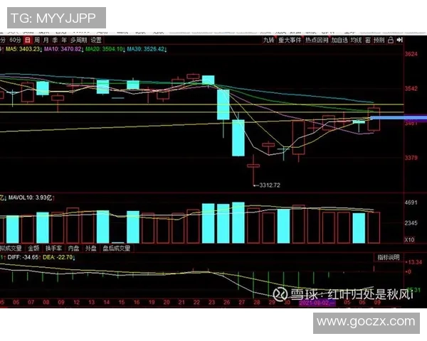 重庆羽毛球队与北京羽毛球队赛后复盘分析比赛节奏与战术对比
