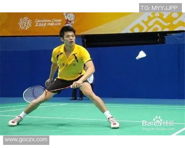 重庆羽毛球队整体压制打法深度分析与战术解读