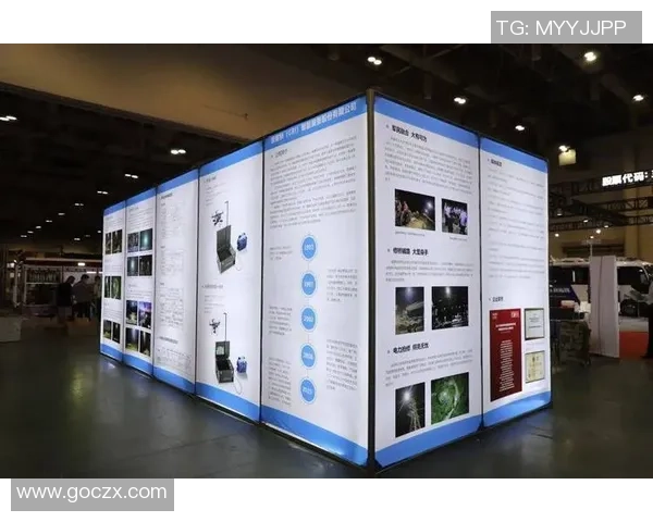 重庆羽毛球队运营分析：成功经验与面临挑战的全面探讨