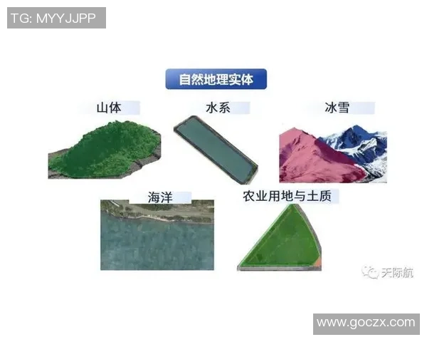 重庆足球队技术表现深度分析与数据解读探讨