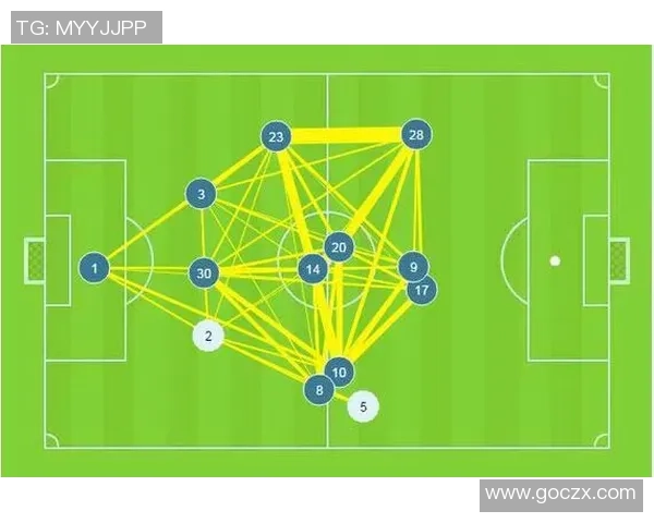 重庆足球队力量表现的数据分析与深度解读助力球队发展与提升竞争力