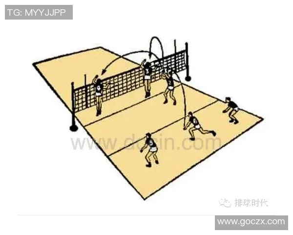 武汉排球队的整体压制打法深度分析与战术解析