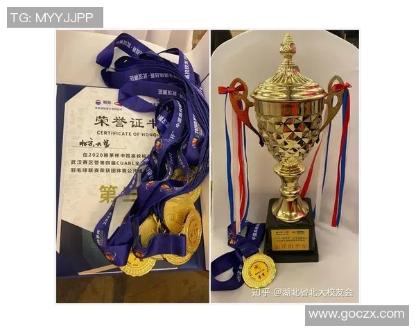 武汉羽毛球队在钻石联赛中的拼搏历程与辉煌成就分享