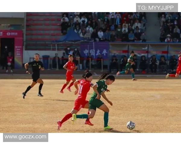 西安排球队耐力表现的深度数据分析与战术影响探讨