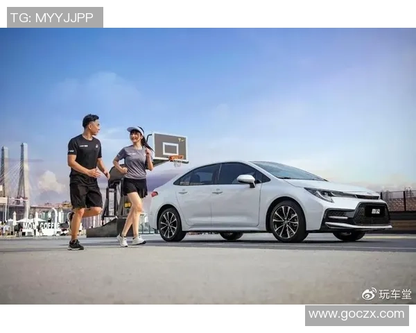 南京排球队以77分稳居洲际杯积分榜首位展现强劲实力 南京排球队以77分稳居洲际杯积分榜首位展现强劲实力